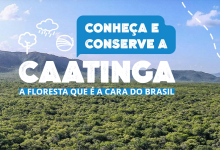 Conheça e Conserve a Caatinga ganha nova edição.
