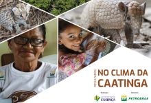 Relatório de Resultados - No Clima da Caatinga III Relatório de Resultados - No Clima da Caatinga III