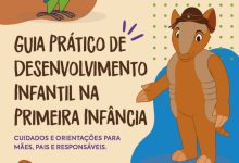 Guia Prático de Desenvolvimento Infantil na Primeira Infância Guia Prático de Desenvolvimento Infantil na Primeira Infância