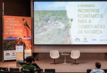 O que é o Pagamento por Serviços Ambientais (PSA): o mecanismo que remunera quem protege a natureza O que é o Pagamento por Serviços Ambientais (PSA): o mecanismo que remunera quem protege a natureza