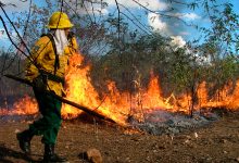 Prevenção de Incêndios na Caatinga: tecnologias e estratégias para proteger o bioma