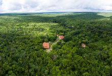 Projeto ‘No Clima da Caatinga’ promove oficina sobre Reservas Particulares do Patrimônio Natural na FIEC