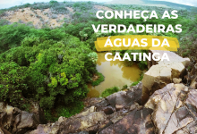 As verdadeiras águas da Caatinga