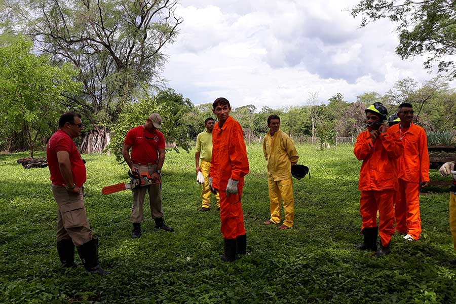 No Clima da Caatinga realiza capacitação sobre brigadas contra incêndios florestais