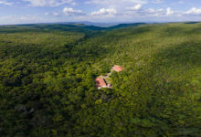 Reserva Natural Serra das Almas estoca mais de 1,6 milhões de CO2