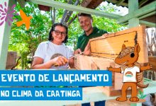 Crateús recebe lançamento da 5ª fase do projeto “No Clima da Caatinga” com programação aberta ao público