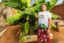 Fossa de Bananeira: saneamento rural, saúde e produção de alimentos Fossa de Bananeira: saneamento rural, saúde e produção de alimentos