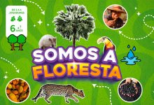 Somos a Floresta: jogo de tabuleiro