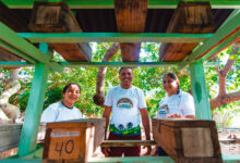 Associação Caatinga dissemina técnica de criação de abelhas “sem ferrão” no sertão nordestino