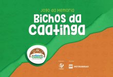 Jogo da Memória Bichos da Caatinga
